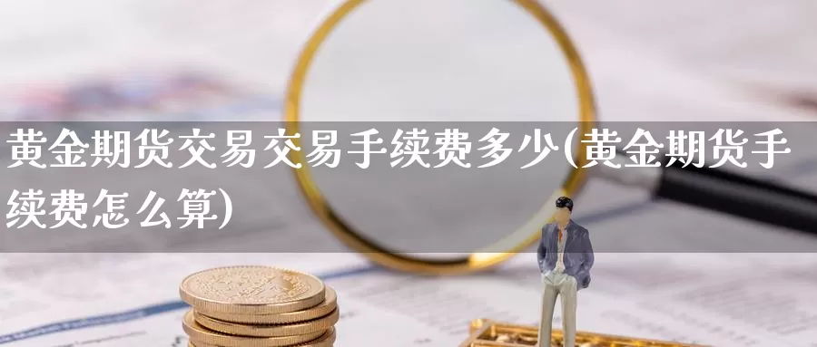 黄金期货交易交易手续费多少(黄金期货手续费怎么算)_https://www.wuzhenzhe.com_期货要闻_第1张